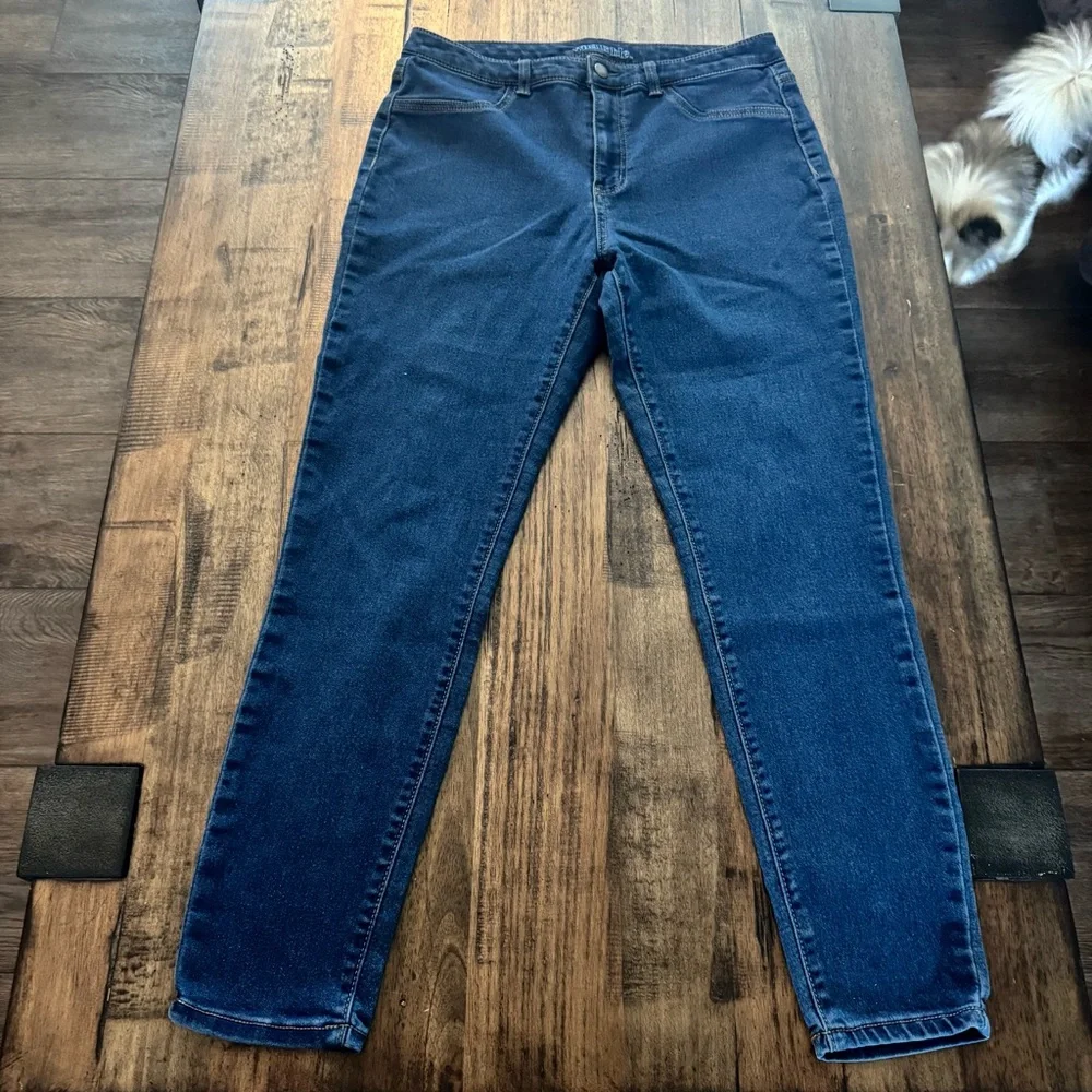 Wild Fable High Rise Skinny‎ Blue Jeans